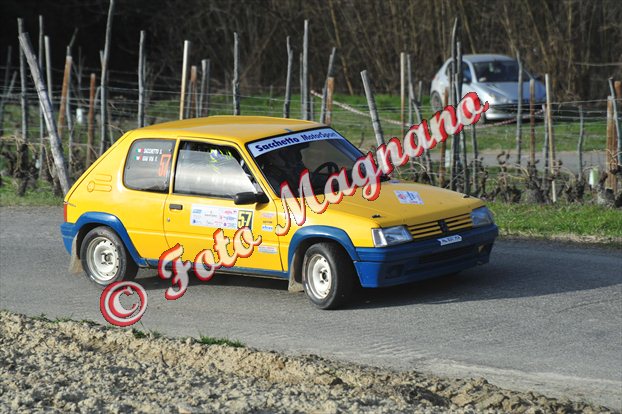 DSC_8784.jpg